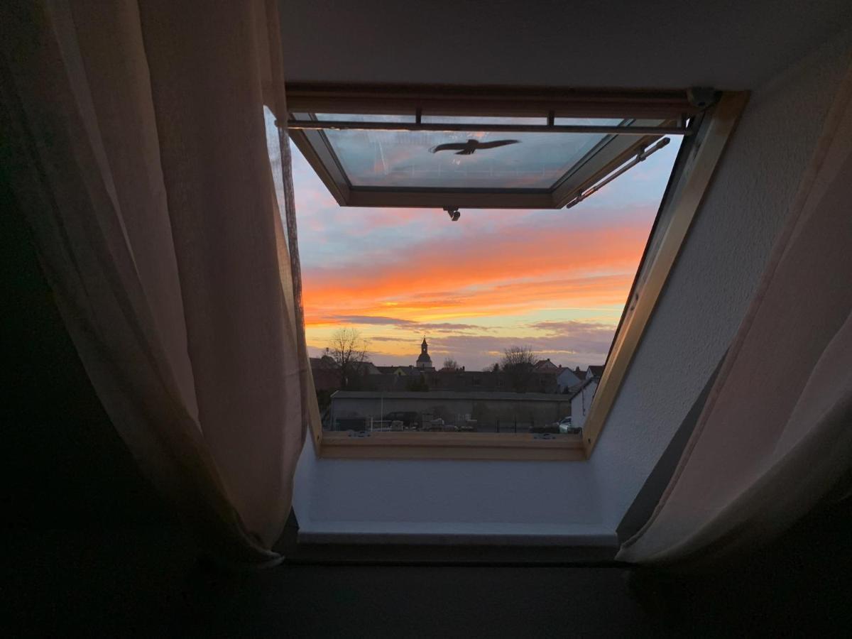 Ferienwohnung Oelzschau - Urlaub Im Leipziger Neuseenland Rotha Bagian luar foto